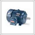 Electric Motors